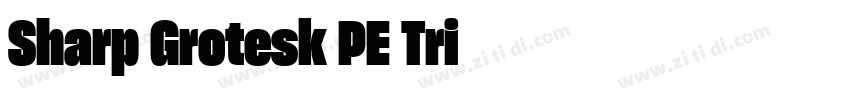Sharp Grotesk PE Tri字体转换